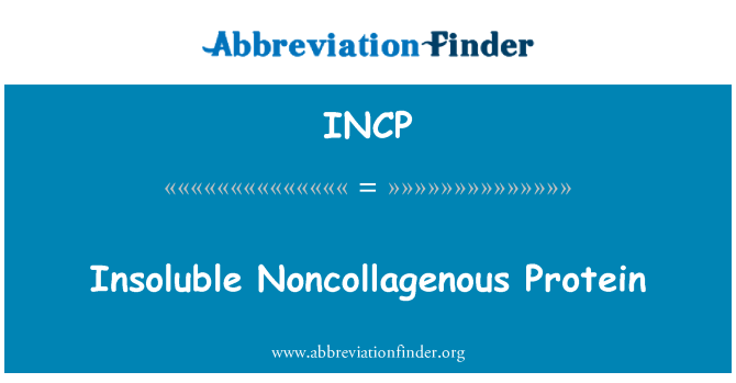 INCP: Uopløselige Noncollagenous Protein