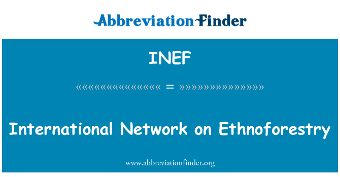 INEF: Internationale netværk på Ethnoforestry