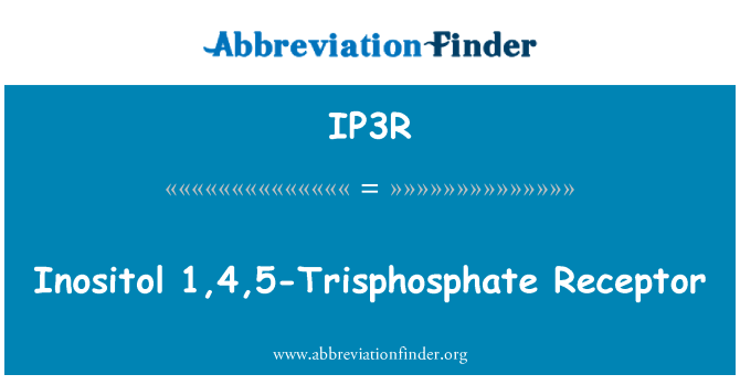 IP3R: 이노 시 톨 1,4,5 Trisphosphate 수용 체