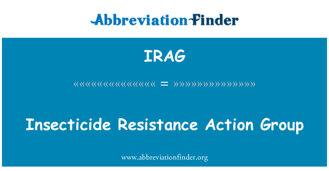 IRAG: کیٹناشی مزاحمتی ایکشن گروپ