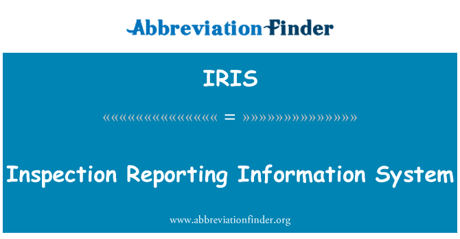 IRIS: Kontrolní hlášení informační systém