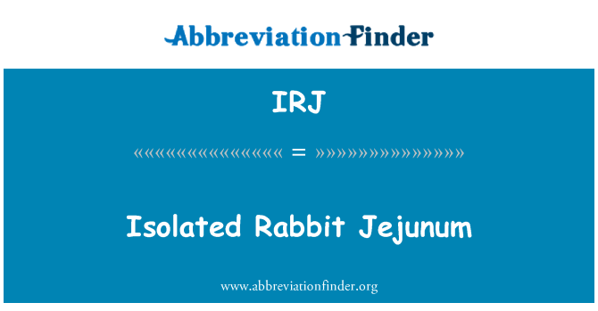 IRJ: Jejunum cwningen ynysig