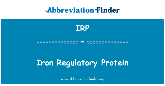 IRP: Protein kawal selia besi