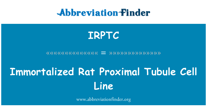 IRPTC: Linea cellulare di ratto immortalizzate tubulo prossimale