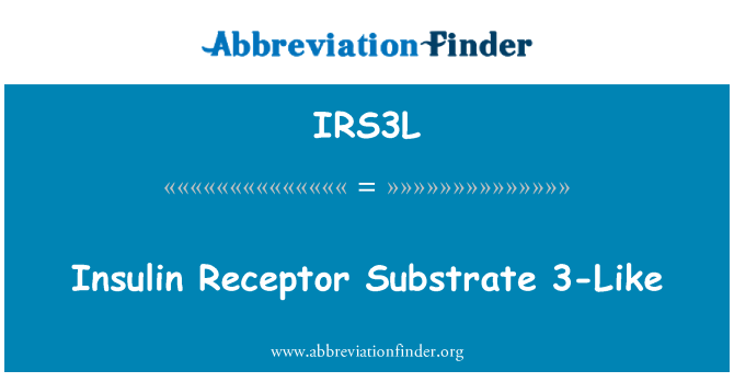 IRS3L: Insulino receptorių substrato 3-kaip