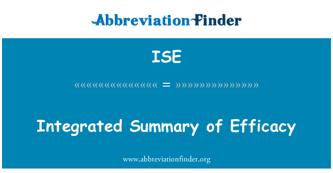 ISE: สรุปรวมของประสิทธิภาพ