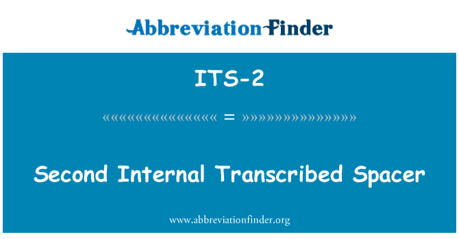 ITS-2: Anden intern transskriberede Spacer