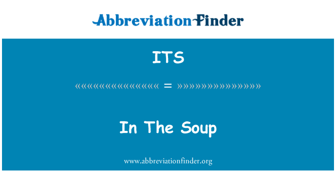 ITS: Fis-soppa