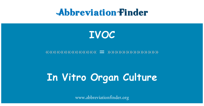 IVOC: Trong ống nghiệm cơ quan văn hóa