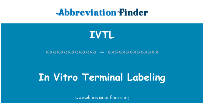 IVTL: В терминале in Vitro маркировки