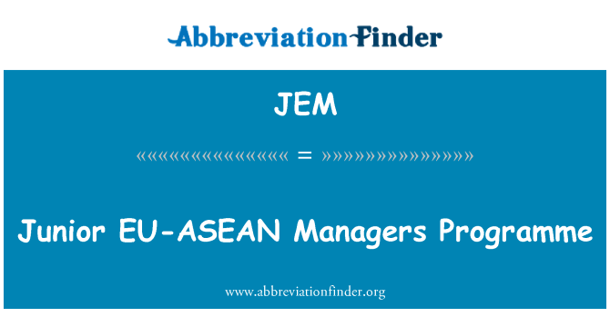 JEM: Junior EU-ASEAN Managers Programme