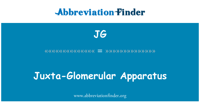 JG: Juxta-glomerulus aparat