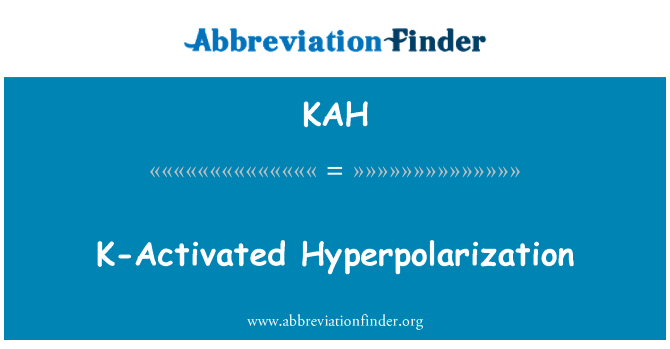 KAH: K aktivaci hyperpolarizaci