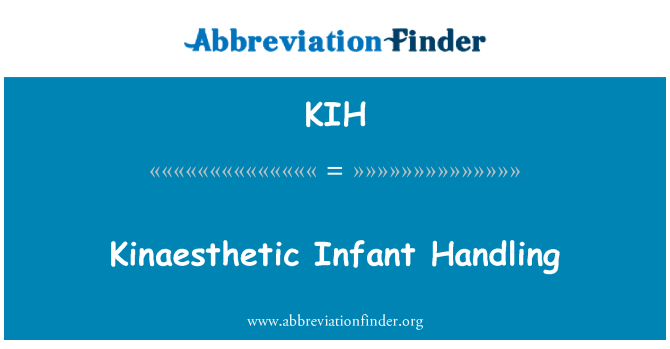 KIH: Kinästhetische Infant Handling