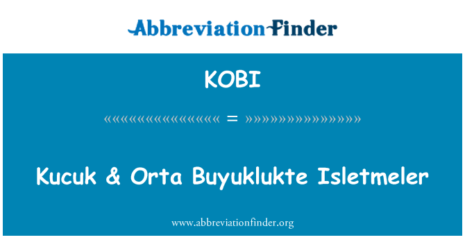 KOBI: Kucuk & Orta Buyuklukte Isletmeler