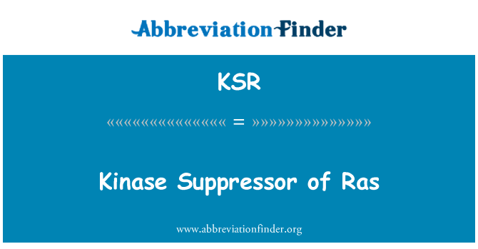 KSR: A Ras kináz szupresszor