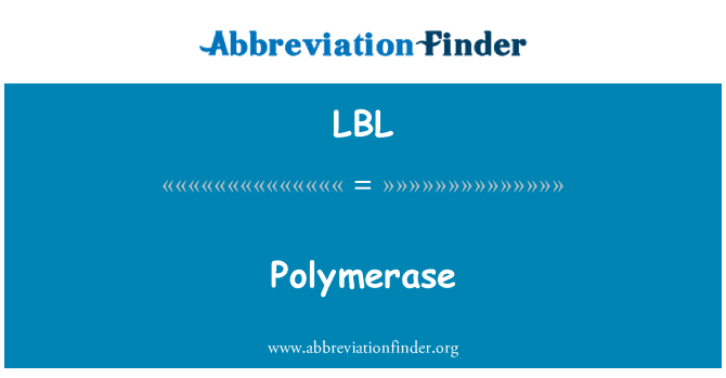 LBL: Polymerase