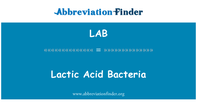 LAB: Bacteria asid lactig