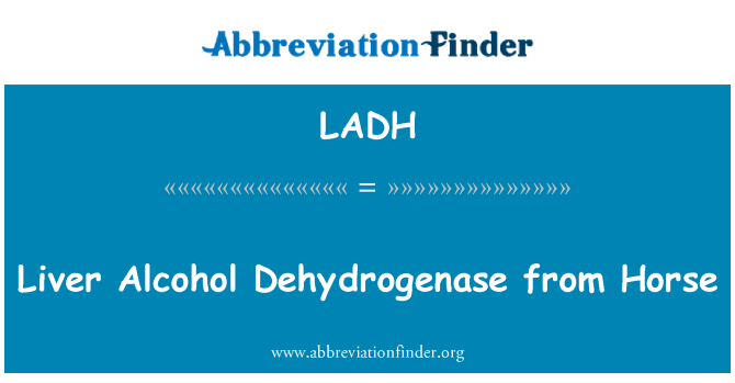 LADH: Alcohol yr afu asyl o'r ceffylau