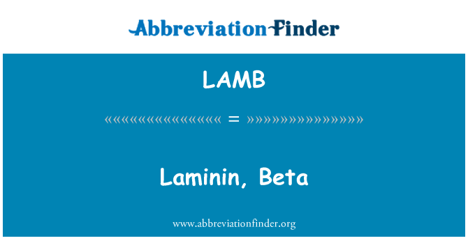 LAMB: Laminin, Beta