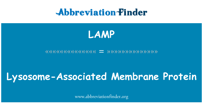 LAMP: Terkait Lisosom membran Protein