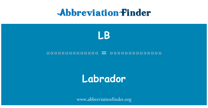 LB: Labrador