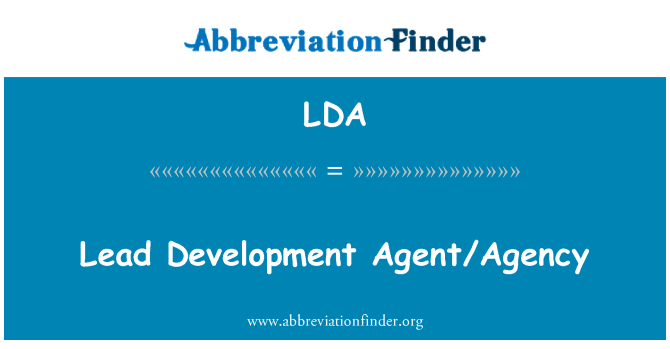 LDA: Prowadzi Agent/agencja rozwoju