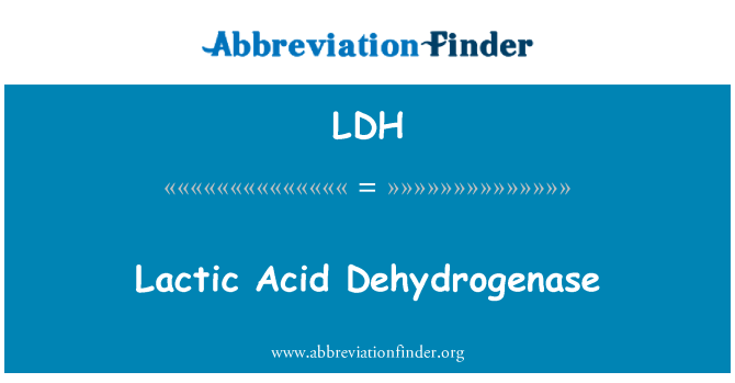 LDH: 乳酸脱水素酵素
