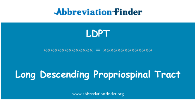 LDPT: Lang aflopende Propriospinal Tract