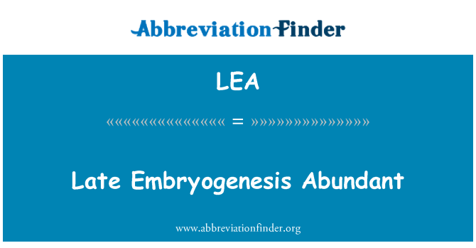 LEA: Embryogenesis tard abbundanti