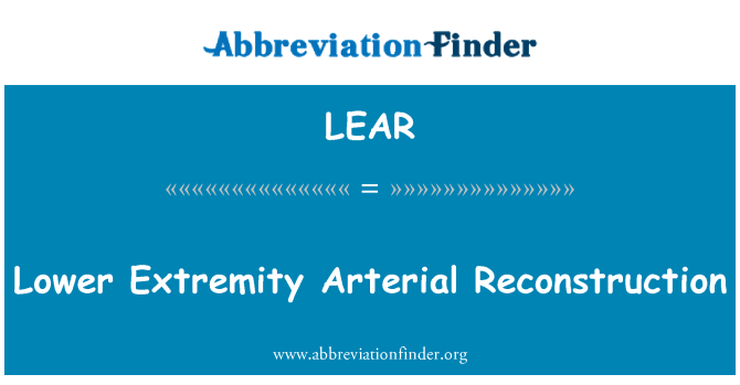 LEAR: Reconstrução Arterial de extremidade inferior