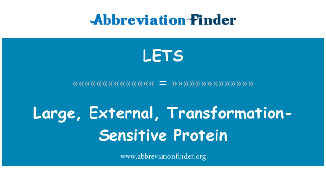 LETS: Protein yang besar, luar, transformasi-sensitif