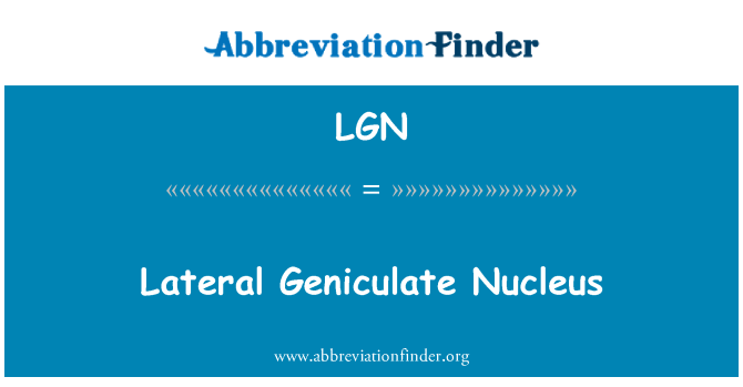 LGN: Laterale Geniculate Nucleus