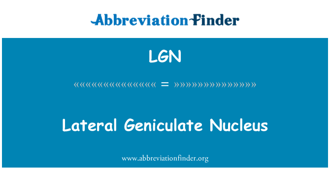 LGN: Cnewyllyn Geniculate ochrol