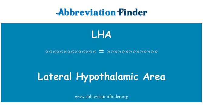 LHA: 측면 Hypothalamic 지역