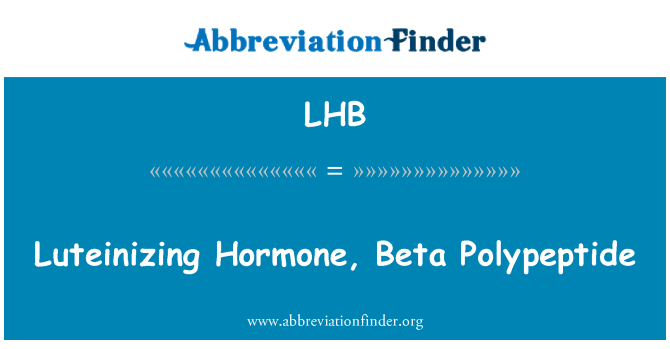 LHB: Luteinizační hormon, polypeptid Beta