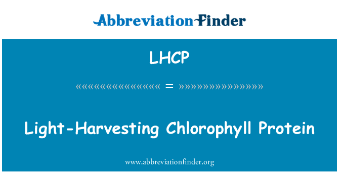 LHCP: Dawl-ħsad tal-proteina ta ' l-Chlorophyll