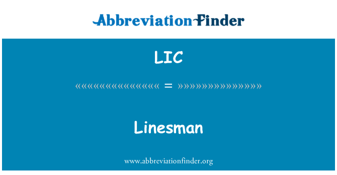 LIC: Linesman
