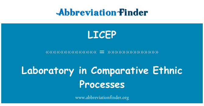 LICEP: Лаборатория сравнительной этнические процессы