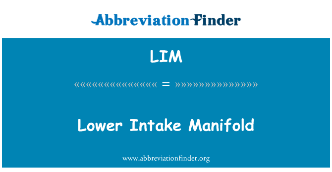LIM: Lower Intake Manifold