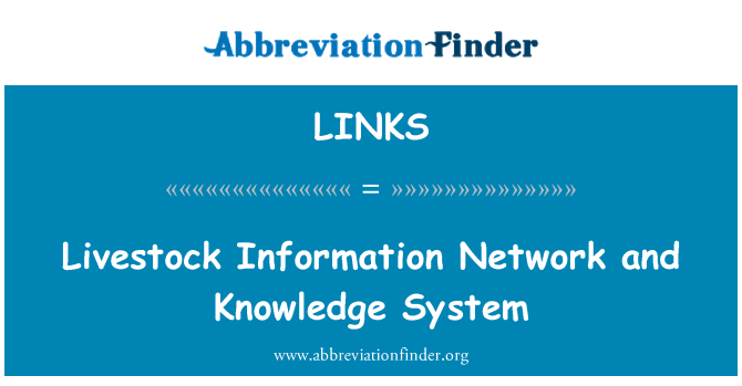 LINKS: רשת המידע משק ומערכת ידע