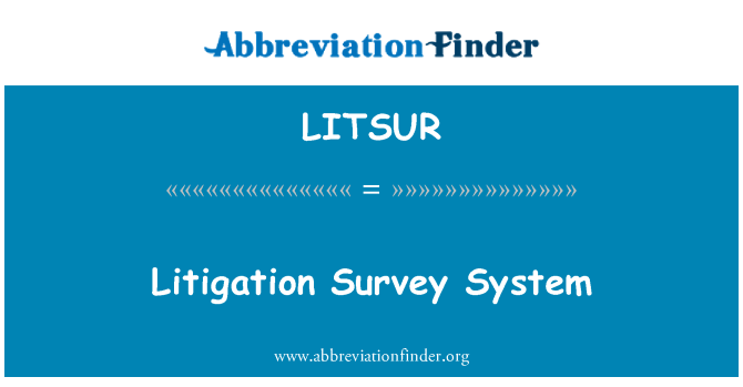 LITSUR: Rechtsstreitigkeiten-Umfrage-System