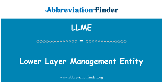LLME: Lavere lag Management enhet