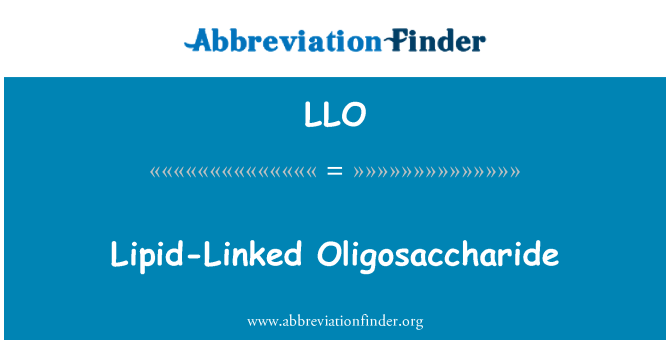 LLO: Lipidů Spojené Oligosaccharide