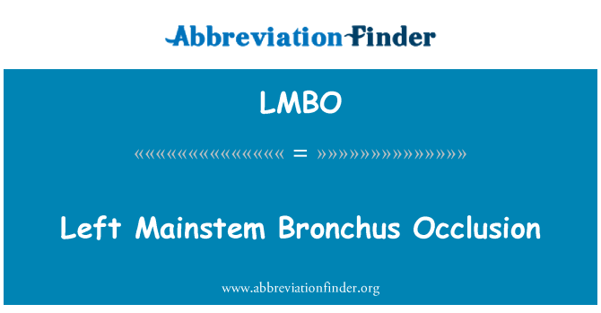 LMBO: Levo Mainstem Bronchus okluzija