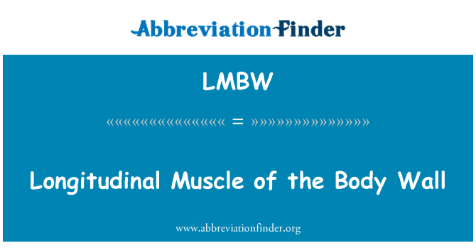 LMBW: Músculo longitudinal da parede do corpo