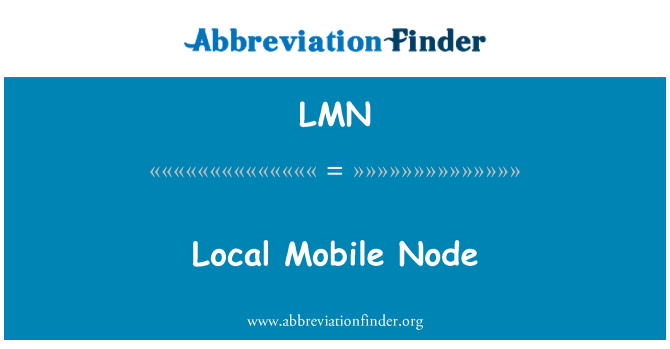 LMN: Local Mobile Node