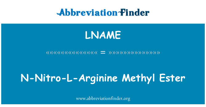 LNAME: Estere metilico di N-Nitro-L-arginina