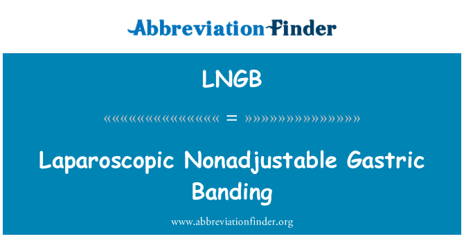 LNGB: Laparoscopische Nonadjustable maag Banding