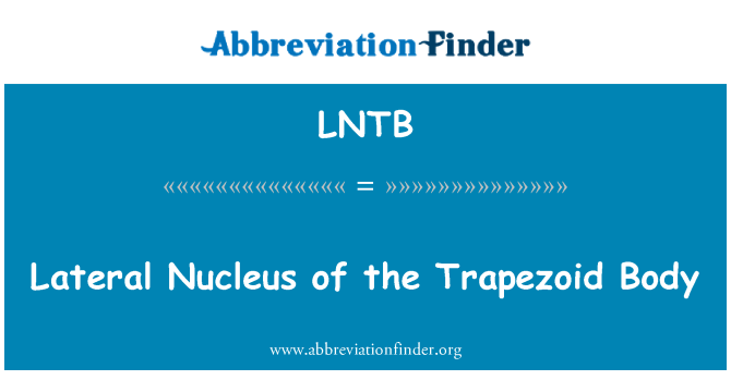 LNTB: Бічні ядра трапецію тіла